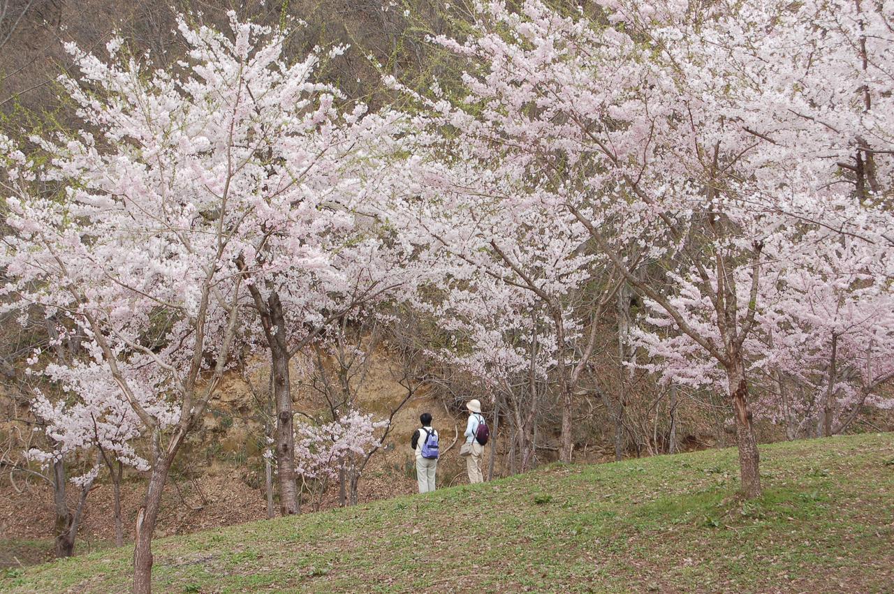 Maruyama Onsen Kojyokan Minamiuonuma Buitenkant foto